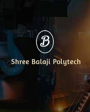Shree Balaji Polytech - Website Developer