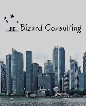 Bizard Consulting - Website Development Company